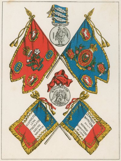 Wellington, estandartes militares de English School