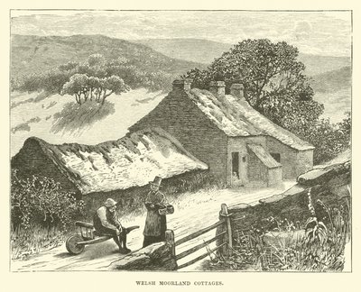 Cabañas en el páramo galés de English School