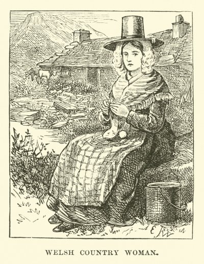 Campesina galesa de English School
