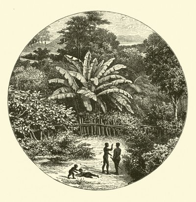 África Occidental de English School