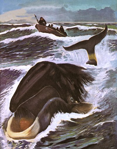 Caza de Ballenas de English School