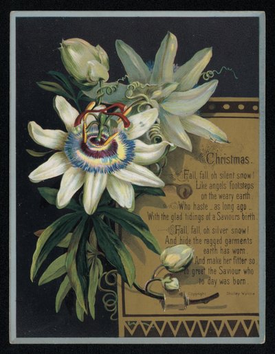 Flor de la pasión blanca, tarjeta de felicitación navideña de English School