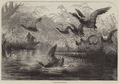 Caza de aves acuáticas de English School