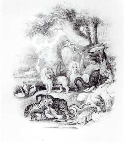 Animales Salvajes de 