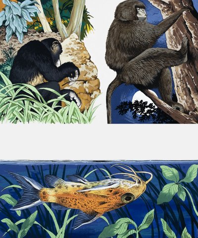 Montaje de animales salvajes de English School