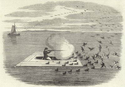 Caza de patos salvajes en el Potomac de English School