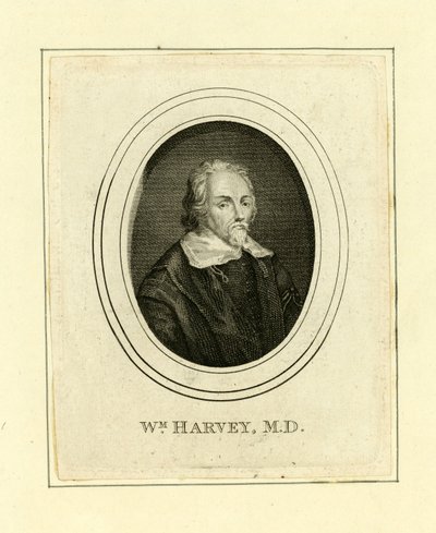 William Harvey de English School