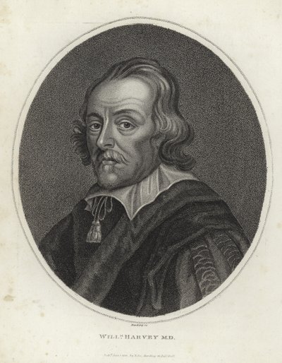 William Harvey de English School