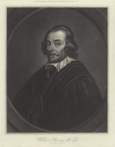 William Harvey, médico inglés de English School