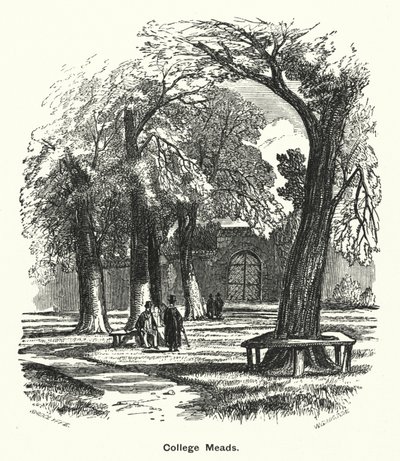 Colegio de Winchester: Prados del colegio (grabado) de English School