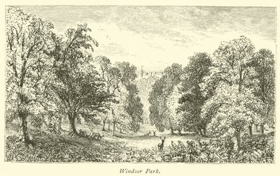 Parque de Windsor de English School