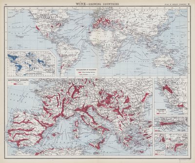 Vino, países productores (litografía en color) de English School