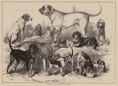 Ganadores de la exposición canina de Birmingham (grabado) de English School