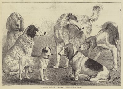 Perros Ganadores en la Exposición del Crystal Palace de English School