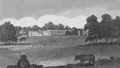 Abadía de Woburn (grabado) de English School