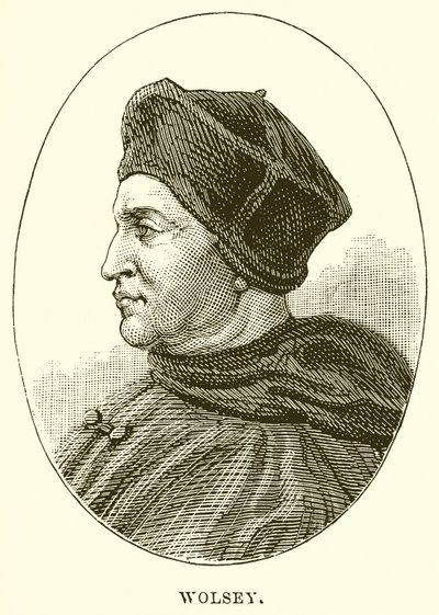 Wolsey de English School