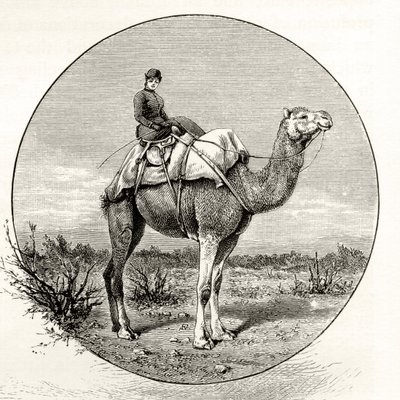 Mujer en un camello en Australia, c.1880, de 