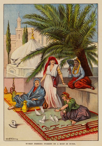 Mujeres alimentando palomas en un tejado de Túnez (litografía en color) de English School