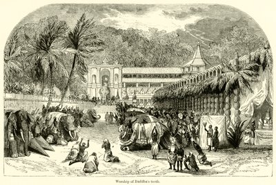 Adoración del diente de Buda de English School