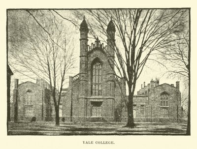 Universidad de Yale de English School