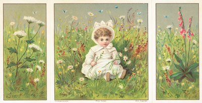 Niño pequeño sentado en prado de flores de English School