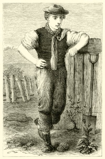 Joven jardinero de English School