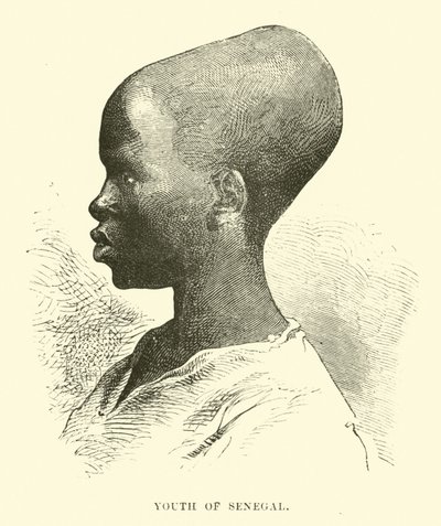 Joven de Senegal de English School