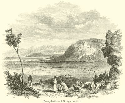 Zarepta de English School