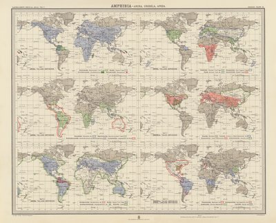 Zoogeografía: Amphibia, Anura, Urodela, Apoda (litografía en color) de English School