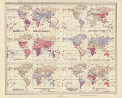 Zoogeografía: Aves, Ralliformes, Opisthocomiformes, Columbiformes, Pteroclidiformes, Hemipodii, Galliformes, Tinamiformes, Apterygiformes, Casuariiformes, Struthioniformes, Rheiformes (litografía en color) de English School