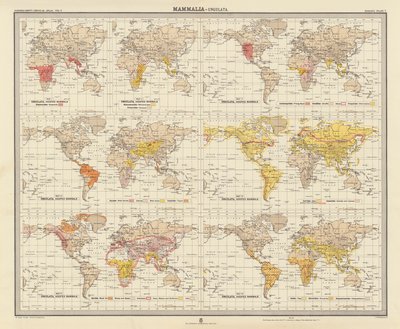 Zoogeografía: Mammalia, Ungulata (litografía en color) de English School