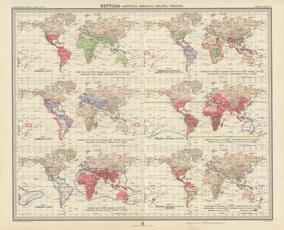 Zoogeografía: Reptilia, Lacertilia, Crocodilia, Chelonia, Prosauria (litografía en color) de English School