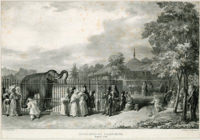 Jardines Zoológicos, Regents Park de English School