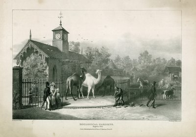 Jardines Zoológicos, Regents Park de English School