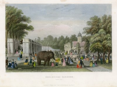 Jardines Zoológicos, Regents Park de English School