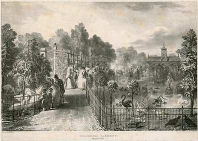 Jardines Zoológicos, Regents Park de English School