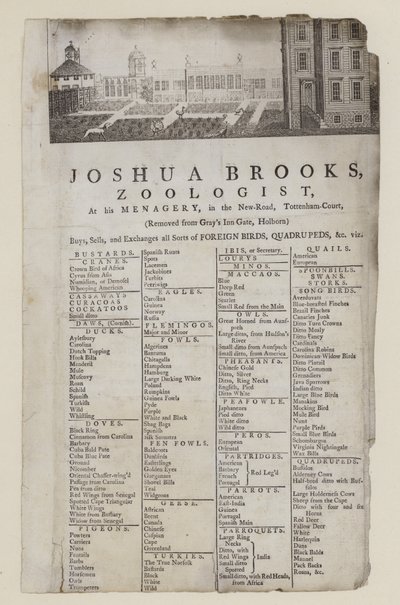 Zoólogo, Joshua Brooks, tarjeta comercial de English School