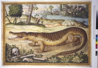 Página completa: Cocodrilo del Nilo en un paisaje, con huesos humanos a su lado, c.1562-1580 (acuarela sobre papel) de Erich Lessing