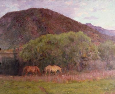 Tarde de verano en Kviteseid, 1893 de Erik Theodor Werenskiold
