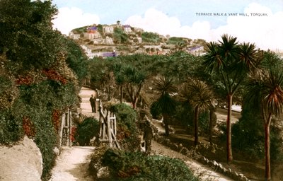 Paseo de la Terraza y Vane Hill, Torquay, Devon, principios del siglo XX de Ern Bishop