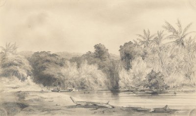 Entrada del río Paiou, isla de Vanikoro de Ernest Auguste Goupil
