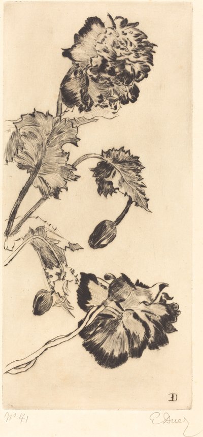 Flores (Fleurs) de Ernest Ange Duez