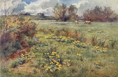 Campos sin senderos de Ernest Benger or Berenger