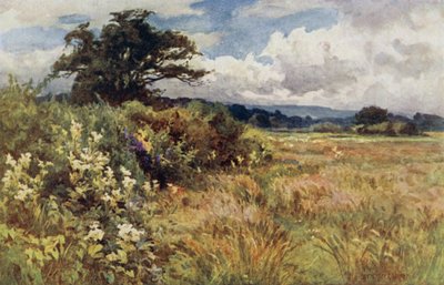 Terreno elevado de Ernest Benger or Berenger