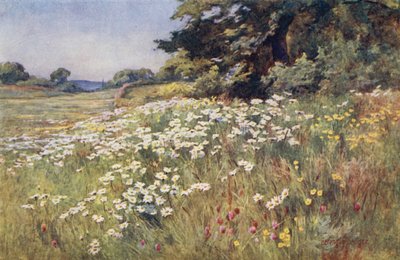 Luz del sol en el prado de Ernest Benger or Berenger