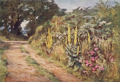 El corazón del seto de Ernest Benger or Berenger