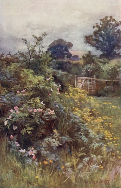 El reinado de la rosa de Ernest Benger or Berenger