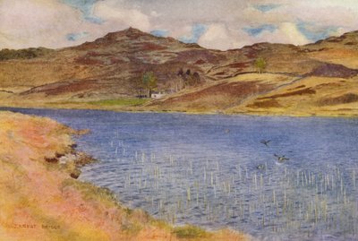 Loch Howie o Wee (litografía en color) de Ernest Edward Briggs