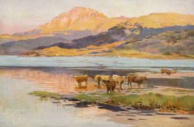 La cabeza de Loch Quoich, al atardecer (litografía en color) de Ernest Edward Briggs