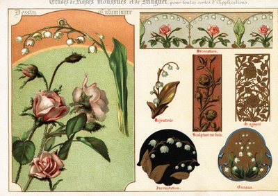 Imágenes de la rosa de musgo y el lirio de los valles procedentes de manuscritos y de Ernest Guillot